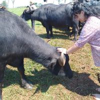 Photos de Catalina Umaña Guzmán