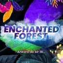Enchanted Forest's picture