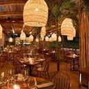 Hangout at Tulum的照片