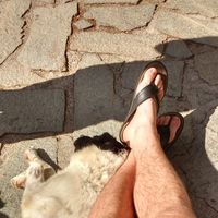 Tobias Landeck的照片