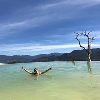 Alicia Zimmer的照片