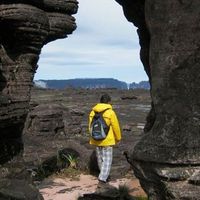 Renan Kamimura的照片