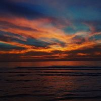 Mohammed  Samara's Photo