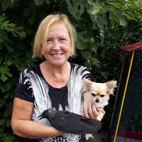 Fotos von Anneke van der Meer-Barnhoorn