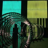 Monica Fiori's Photo