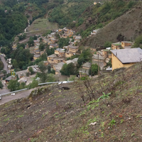 Mohamadreza Salimi的照片