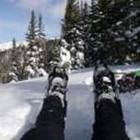 Brice Woodlock's Photo