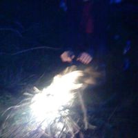 Arblind Murati's Photo