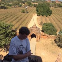 xavier wear gardener的照片