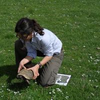 Candan Ergeneman的照片