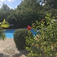 Jim William的照片