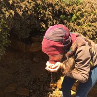 Fotos de Jessica Veronesi