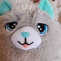 Dimitra Politi的照片