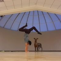 Armin Krause's Photo