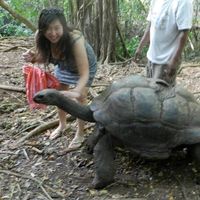 SHESTANDSAKIMBO的照片