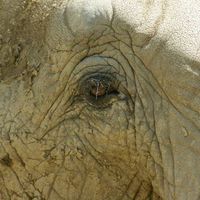 Claus Zimborski's Photo