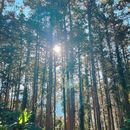 Bilingual Chan Meditation Retreat 的照片