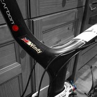 Adam Windrum的照片