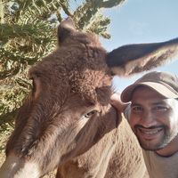 Abdellah Erraji的照片