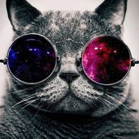 Don Tony Ton的照片