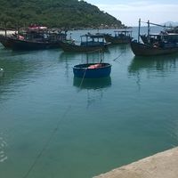 doclet Beach的照片