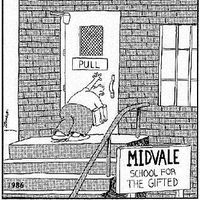 wiggi Imlinger's Photo