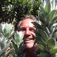 Chris Schwarz的照片