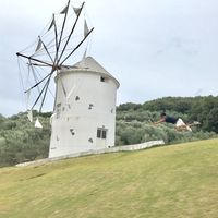 Daisuke Aoki's Photo