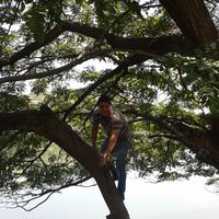 Daniel  Parra t的照片