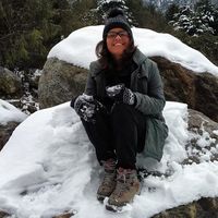 Shivi Baijal的照片