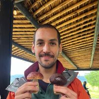 Rodrigo Leal的照片