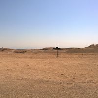 yasmine Moustafa的照片