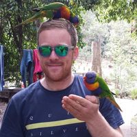 Fotos de David Metcalf