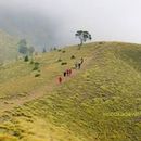 Meeshappulimala Trecking 的照片