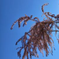 Gaëlle Dumas的照片