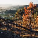 фотография Hiking Monteferrato Mountain In Prato