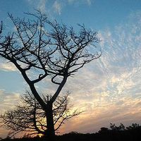 Graham Openshaw's Photo