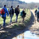 Nature walk in Surrey village's picture