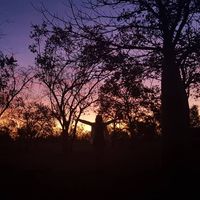 Lisa Griffin的照片