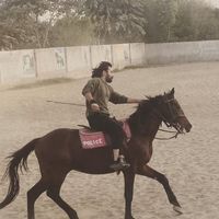 Fotos de Muhammad Umair