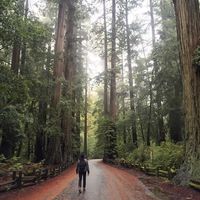 David Motto的照片