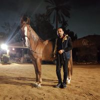 Sayed Sabra的照片