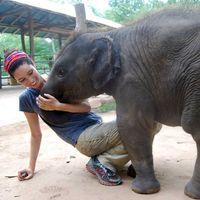 Laura Sloan的照片