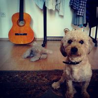 Photos de Iuliana Terteci