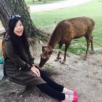 I Chin Chen的照片