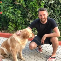 Фотографии пользователя ahmet istan