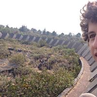 Фотографии пользователя Frederico ravioli