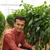 MUKHAMMAD Najmiyev's Photo