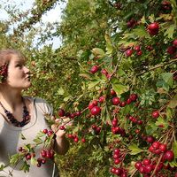 Magdalena Kapczyńska's Photo