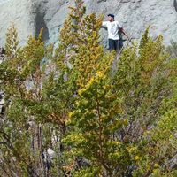 Rodrigo Albornoz's Photo